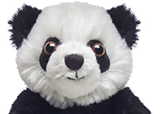 Becca - Mini Panda