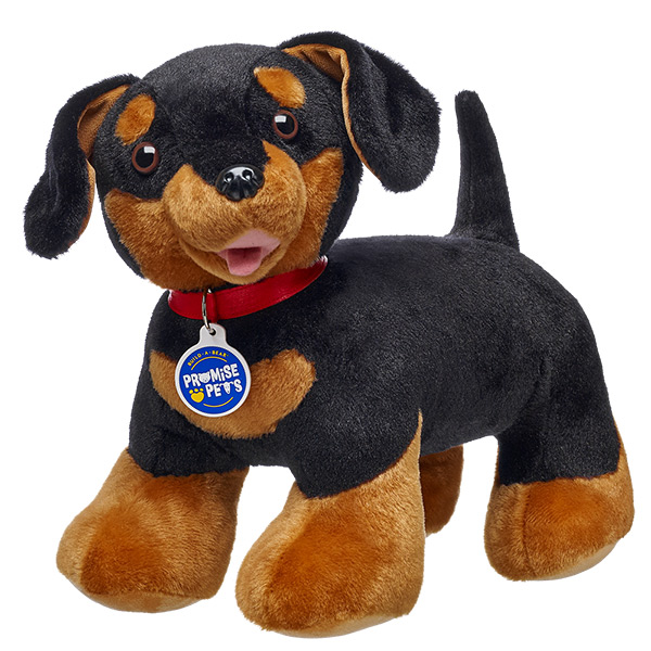 Scout - Promise Pets™ Dachshund
