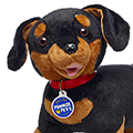 Scout - Promise Pets™ Dachshund